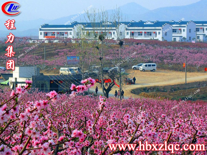 沒有三生三世，但有十里桃花——湖北程力集團(tuán)小編帶你去看十里桃花